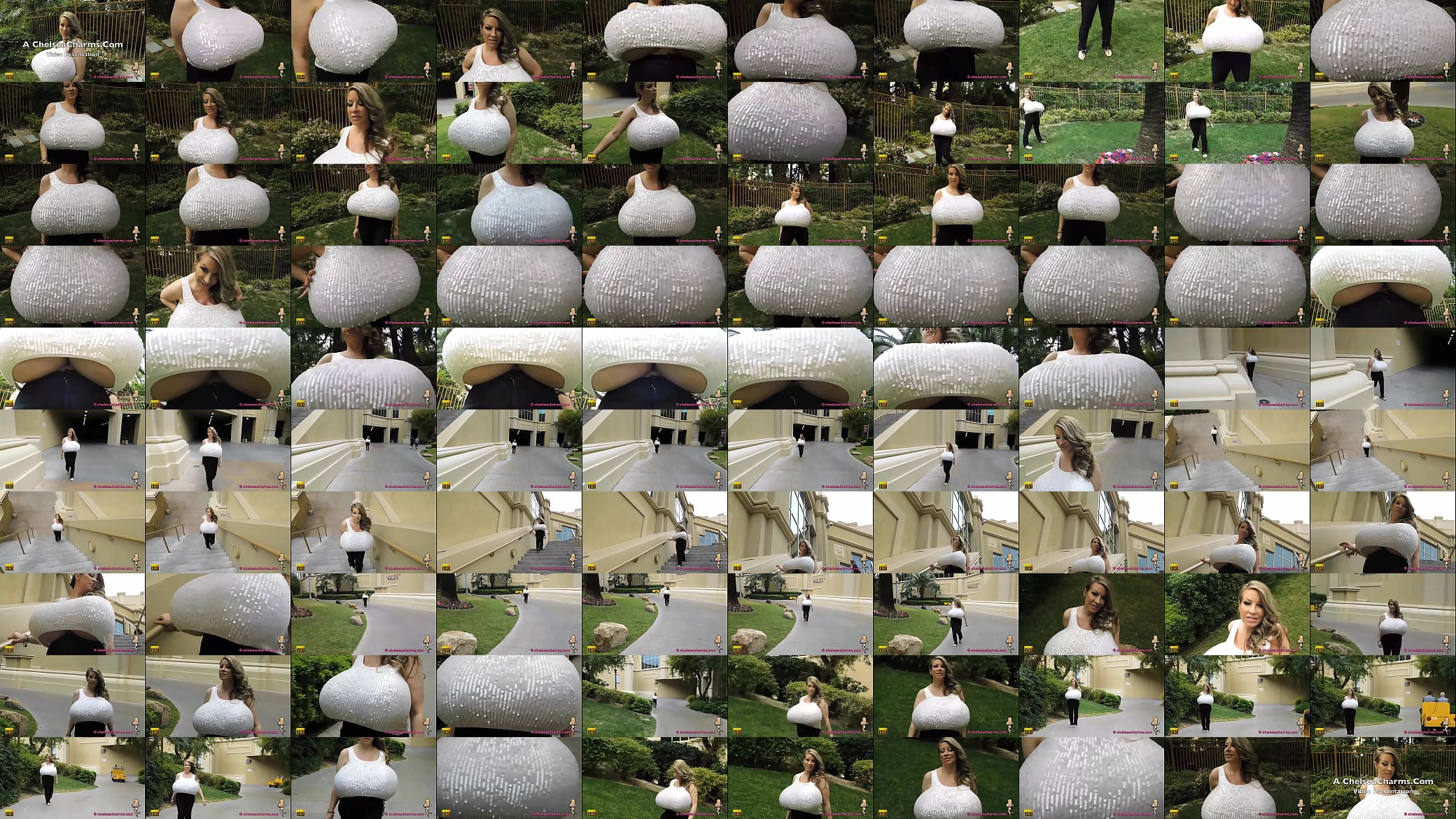 CCharms072625 预览图