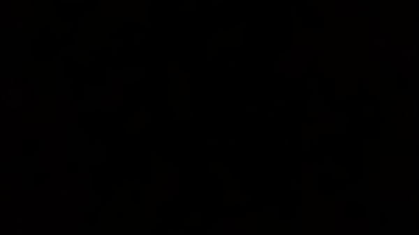 Vidéo De Vérification