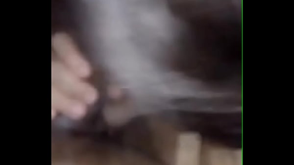 Download Video - Chupei o corno trouxa e esfreguei na cara que ele nunca me fez gozar&excl;