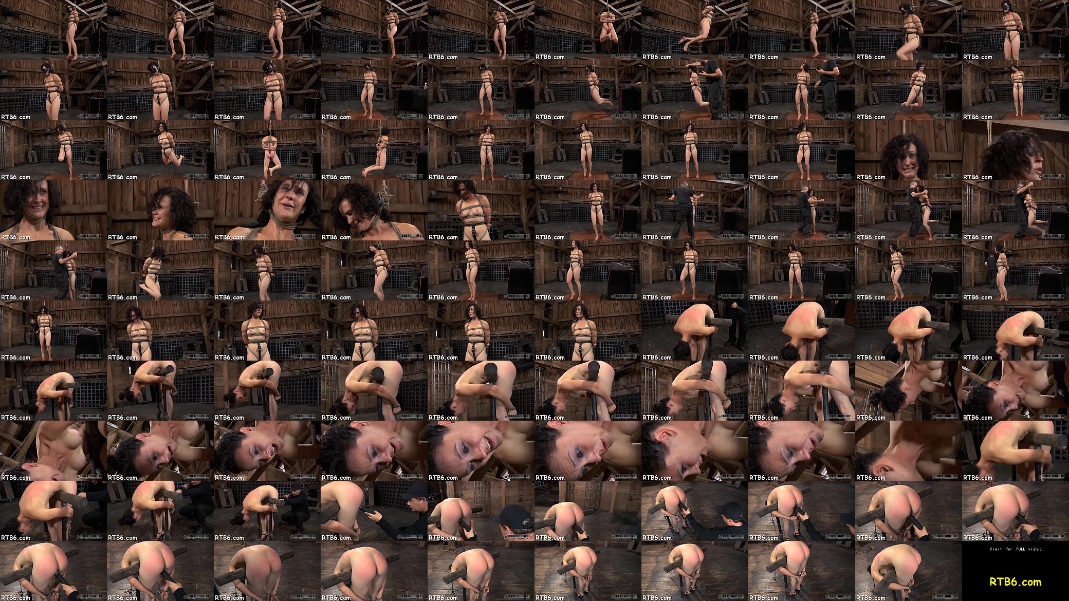 Sadomasochism kinks 预览图
