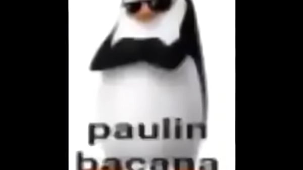 Paulin bacana Rebolando Gostoso