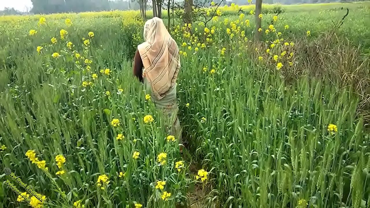 Hindi Audio Desi Video Aunty's pussy enjoyed at her in-laws' house