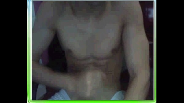 Download Video - Gato Pauzudo