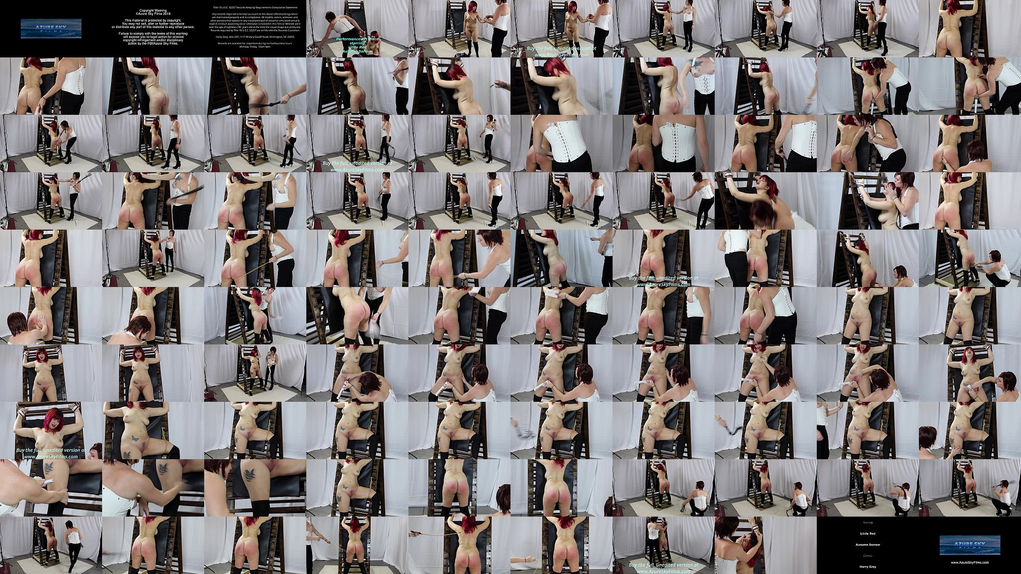 Little Red BBW BDSM Bondage Flogging Paddling Whipping Caning Fingering Toys 预览图