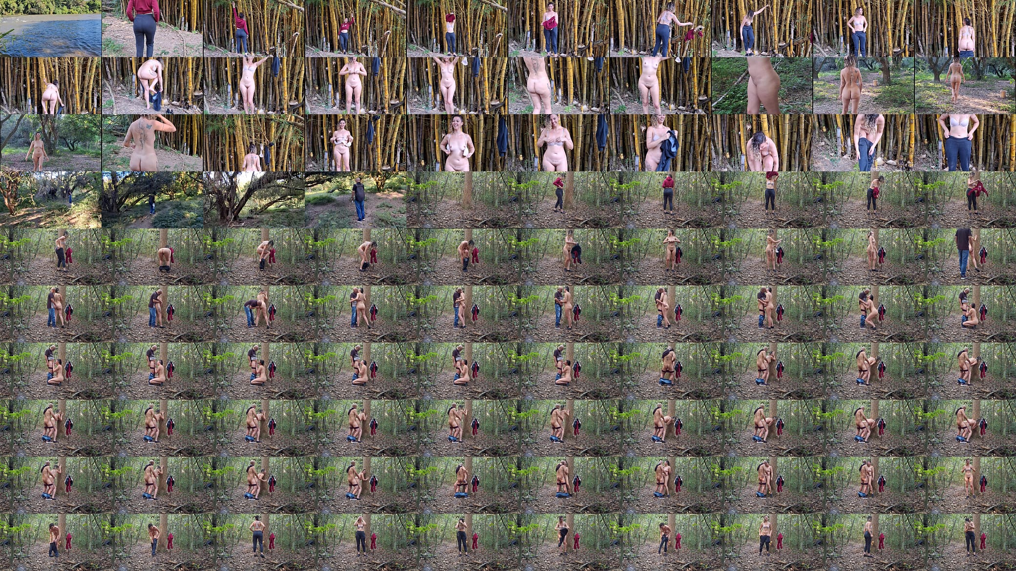 A stranger fucked me in the forest 预览图