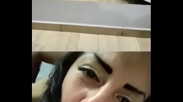 Chienne M'enregistrant