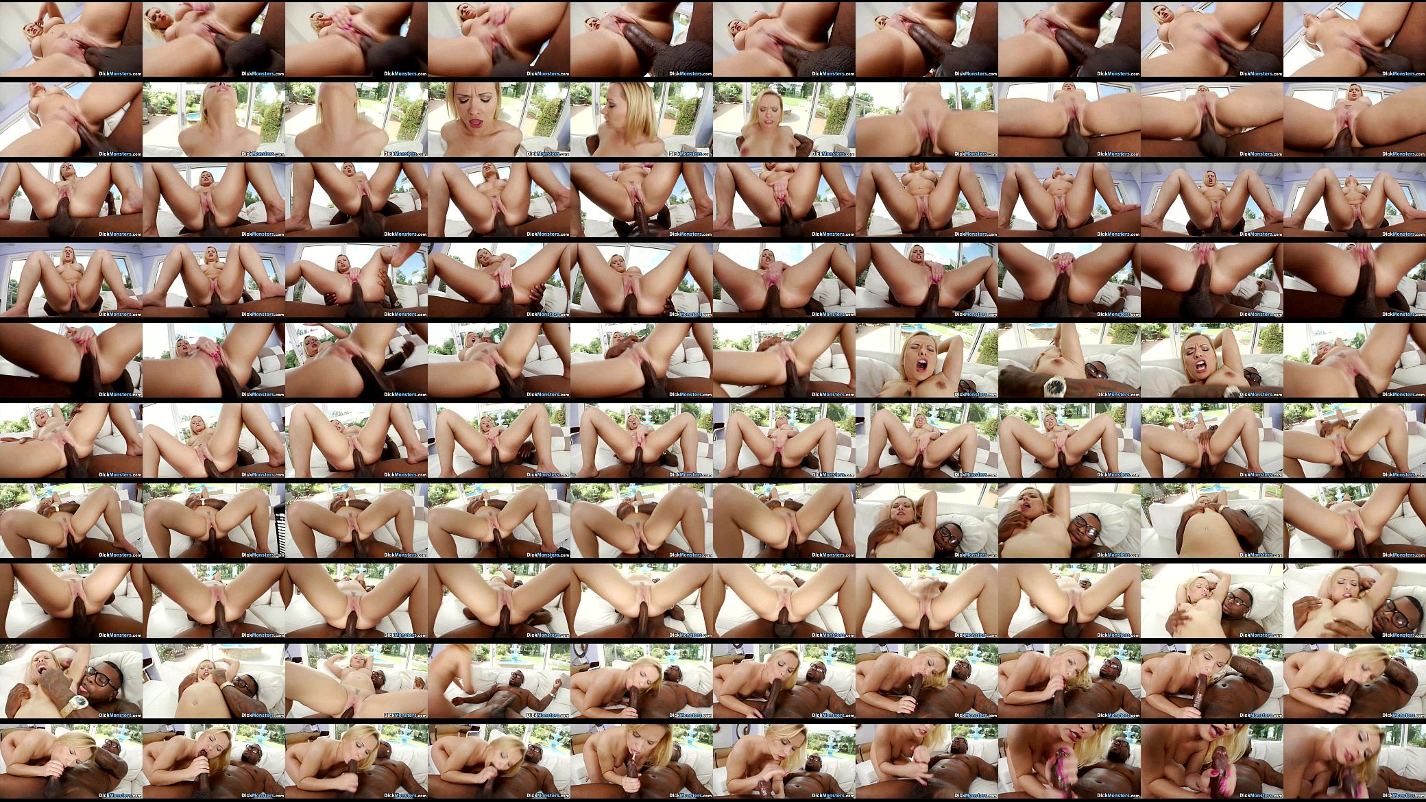 Black Dick Meat 04 预览图