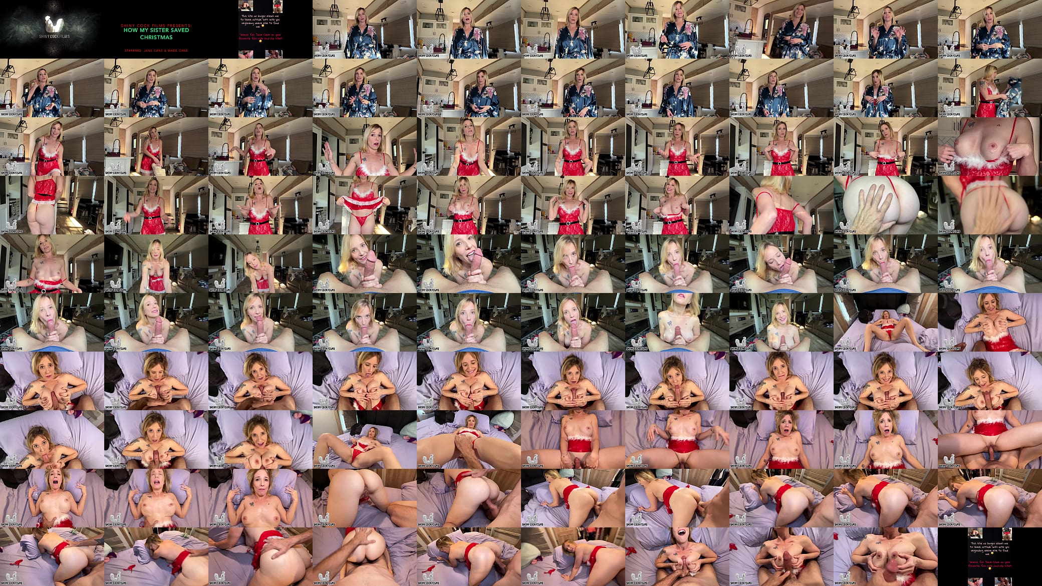 My Sexy Step Sister Saves Christmas - Jane Cane 预览图