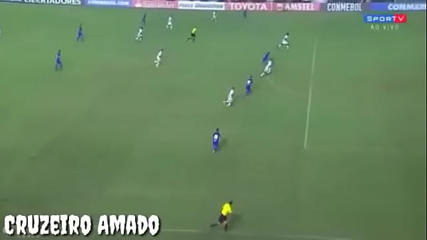 RAPOSA COMENDO CU DOS VASCAÍNOS EM SÃO JANUÁRIO NO PELO SEM CUSPE