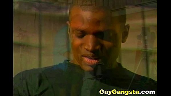 Download Video - Dark Monster Cock on Black Gay Asshole