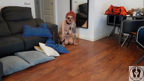 4K ANGRY PUPPY BARKING RABIDLY GASPING SNIFFING ALL THE ROOM