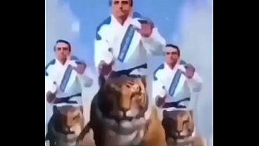 Imposs&iacute;vel n&atilde;o gozar vendo esse v&iacute;deo maravilhoso do Bolsonaro (meme shitpost)
