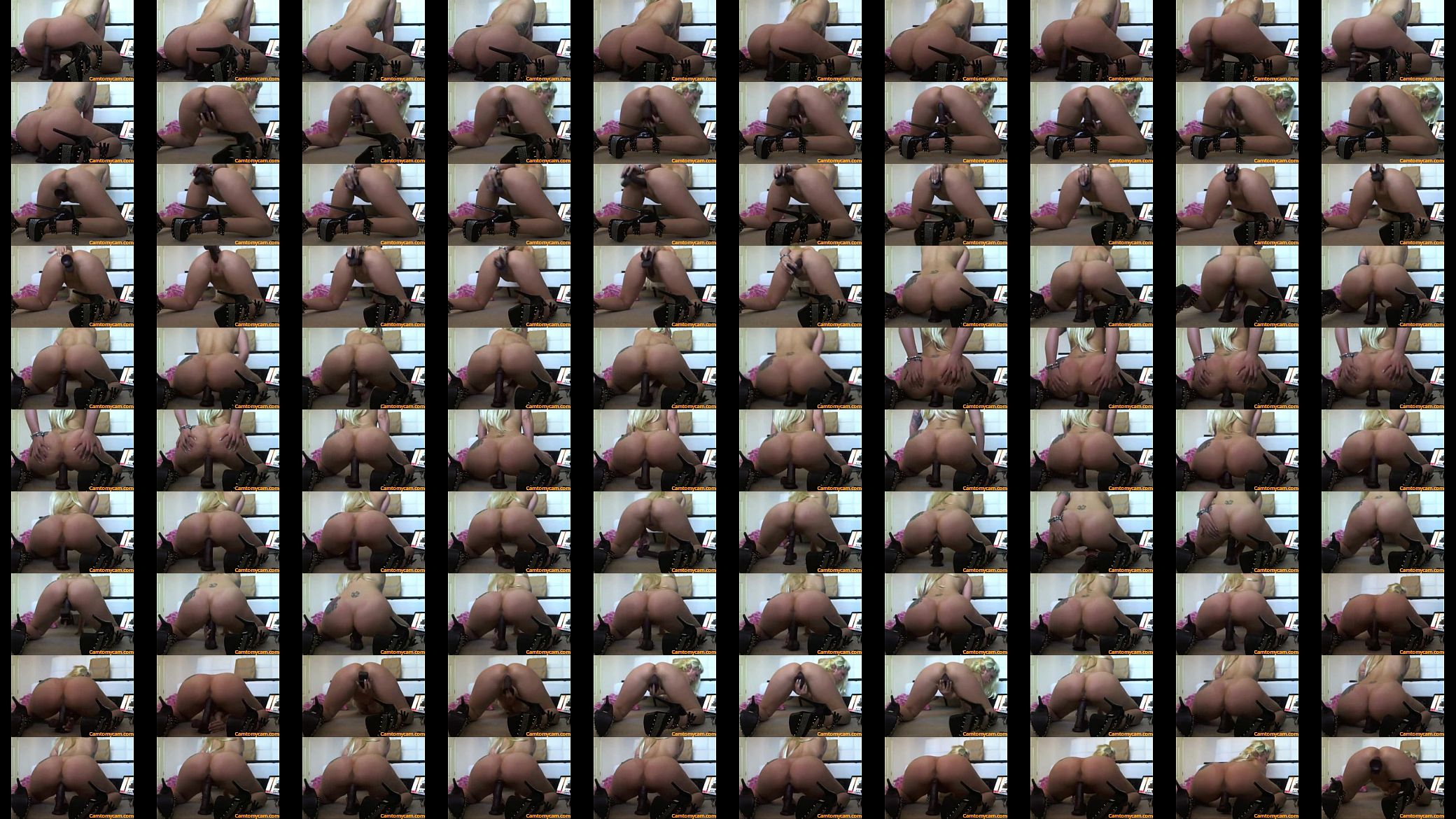 camtomycam (2) 预览图