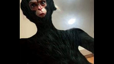 検証ビデオ