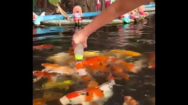 Only a few more days in Thailand-I’ll be back next year!