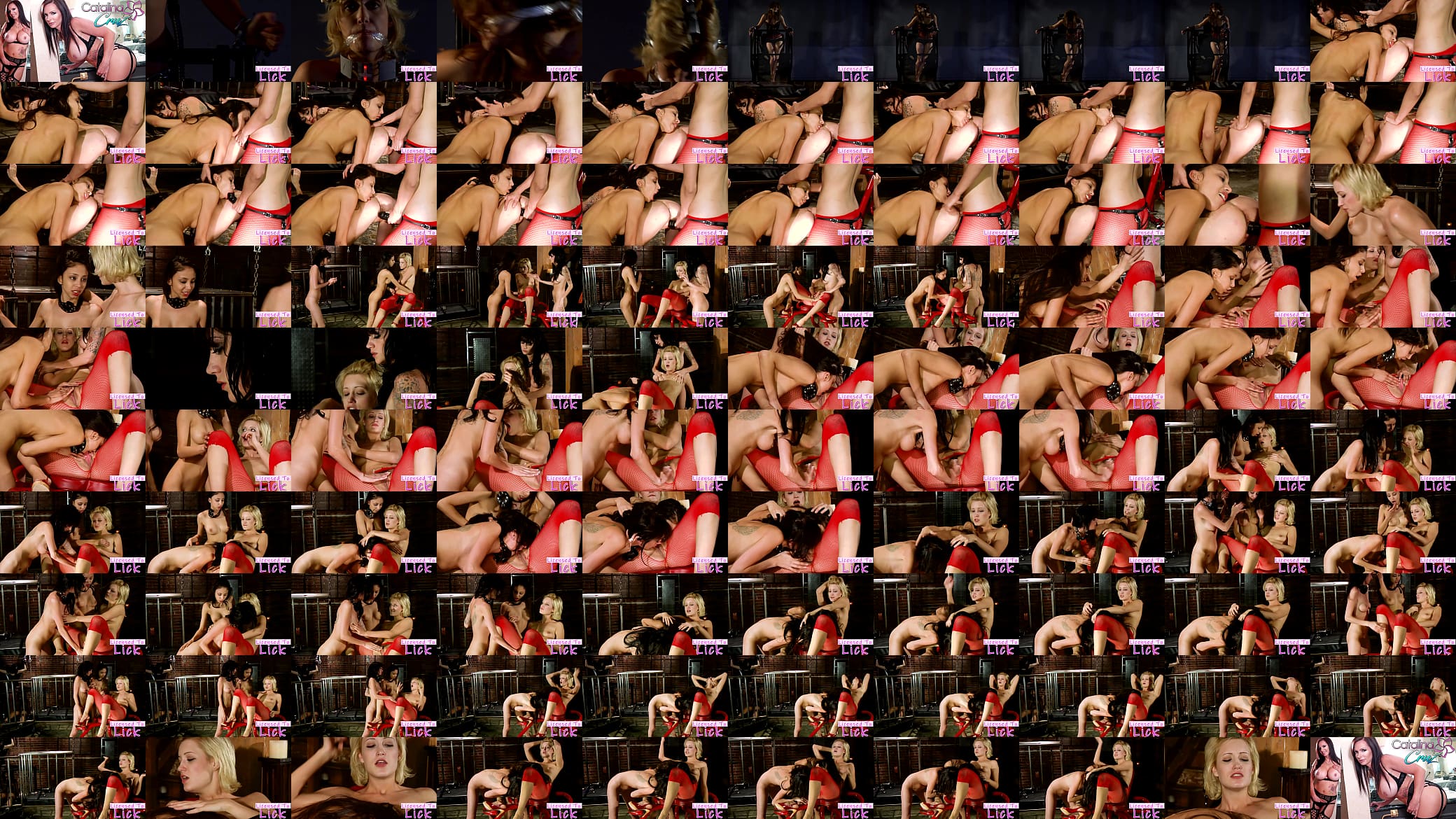 LICENSED TO LICK - Kimberly Kane Lesbian BDSM Slaves 预览图