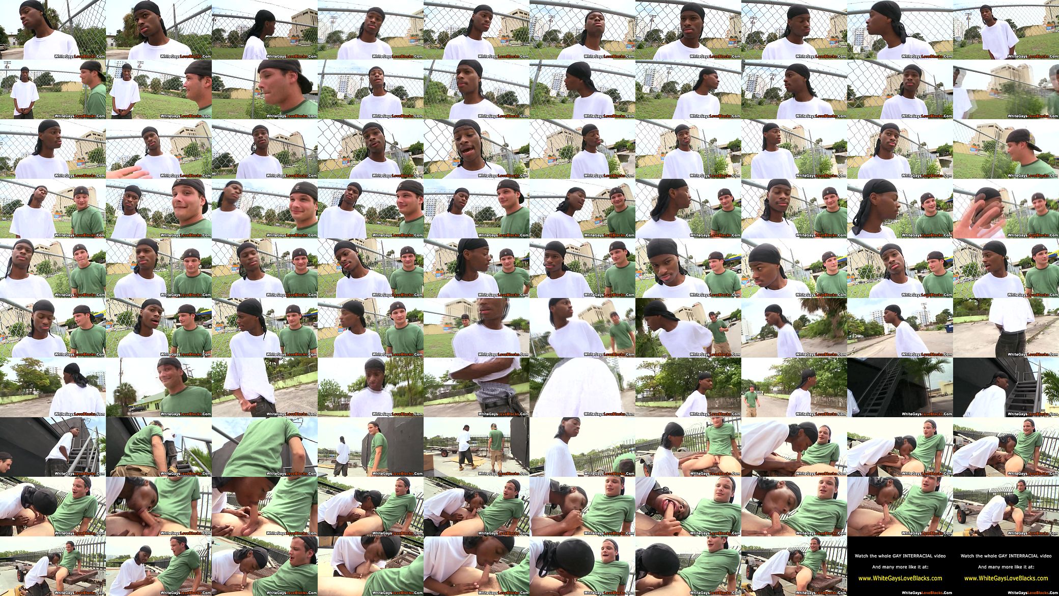 Interracial dong sucked 预览图
