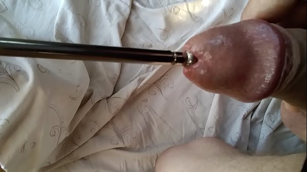 Download Video - Urethra fuck new penis plug