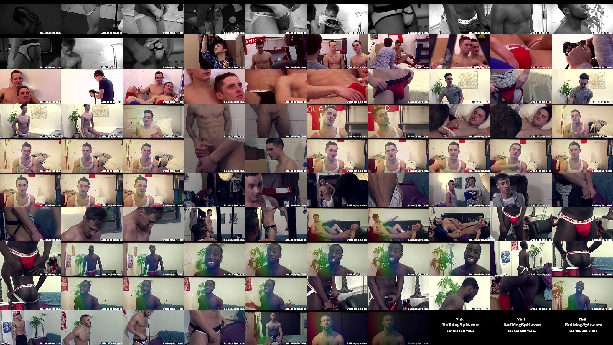Scally euro amateur strips for the camera 预览图