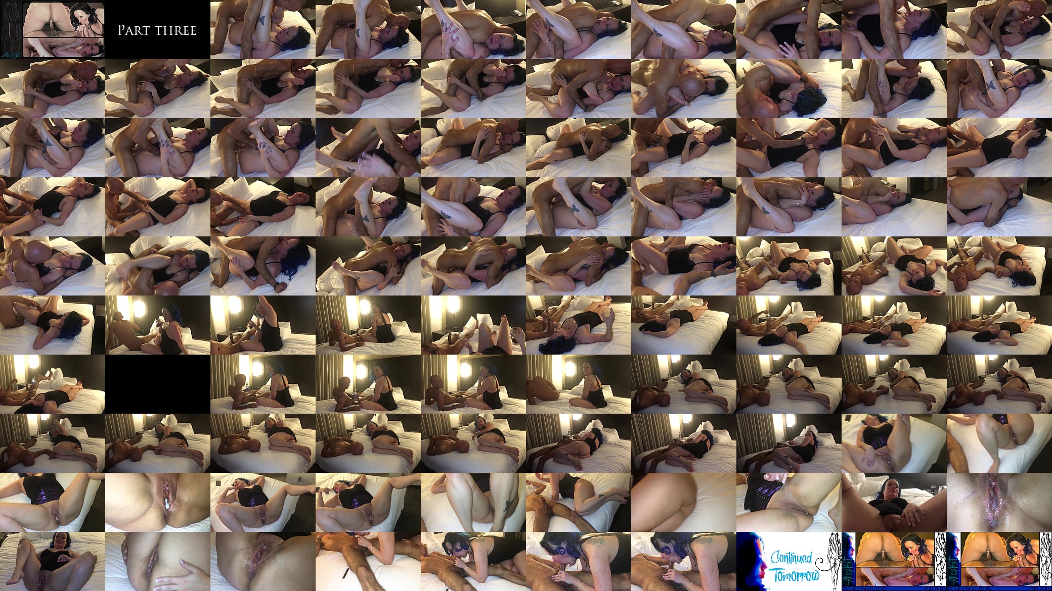 Double Fan Filling 3 预览图