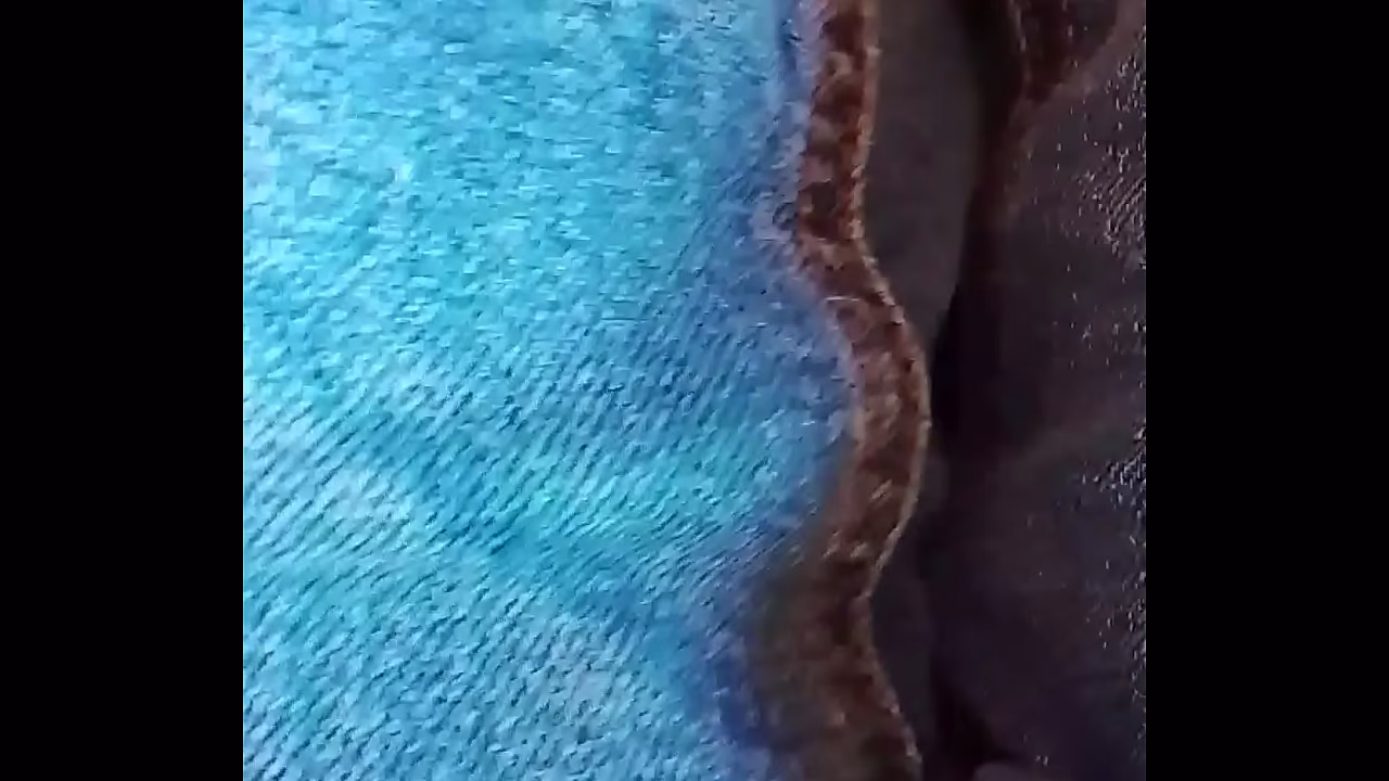 Per Pasqua spaccami la fica.