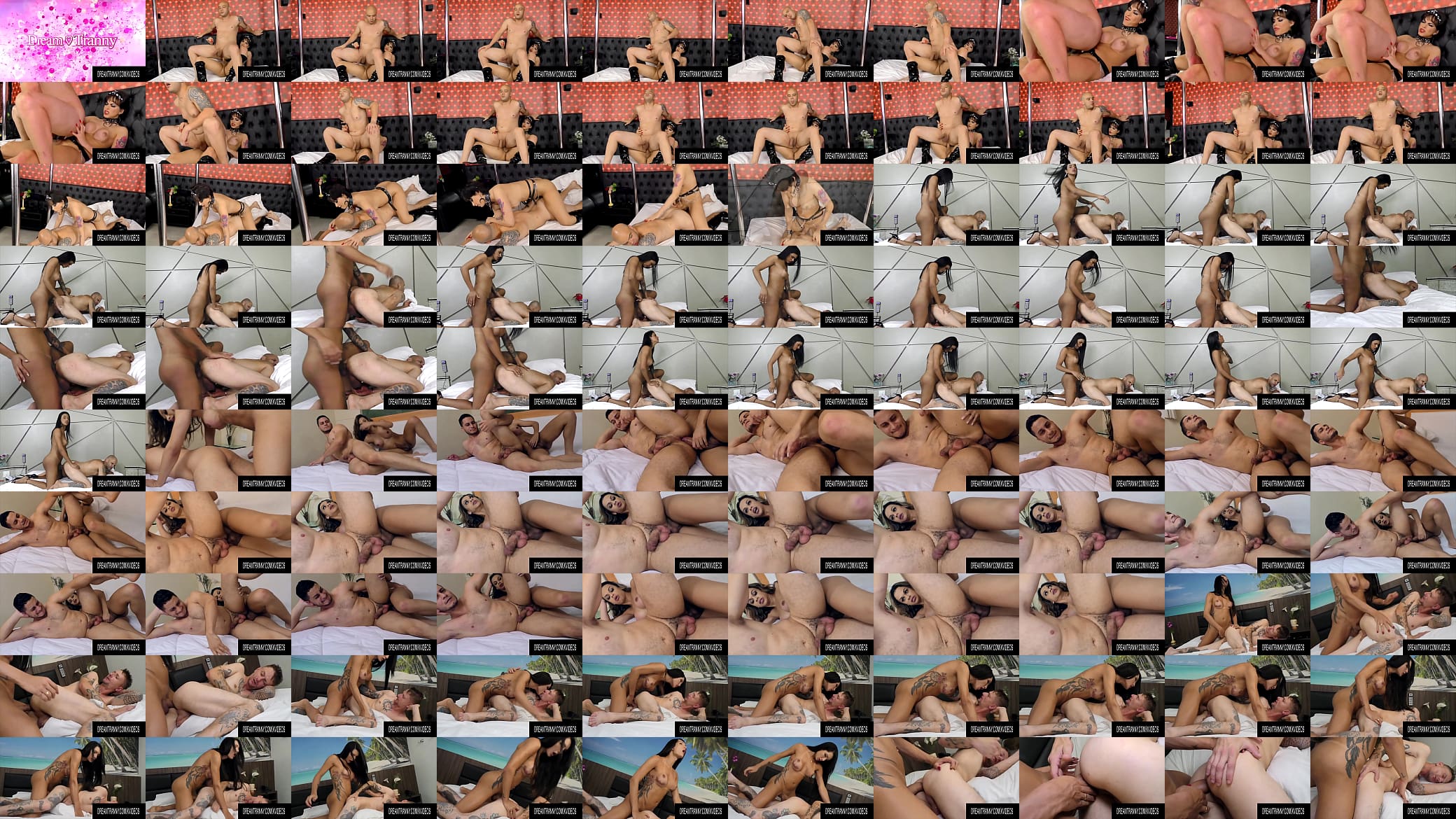 Dream Tranny - Top by a Charming Tranny Compilation 预览图