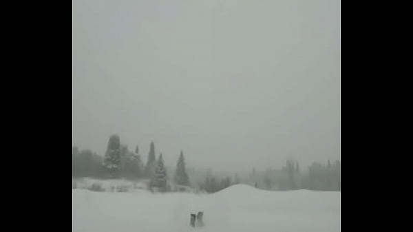 Cody Lane plows thicc barely legal Canadian snow