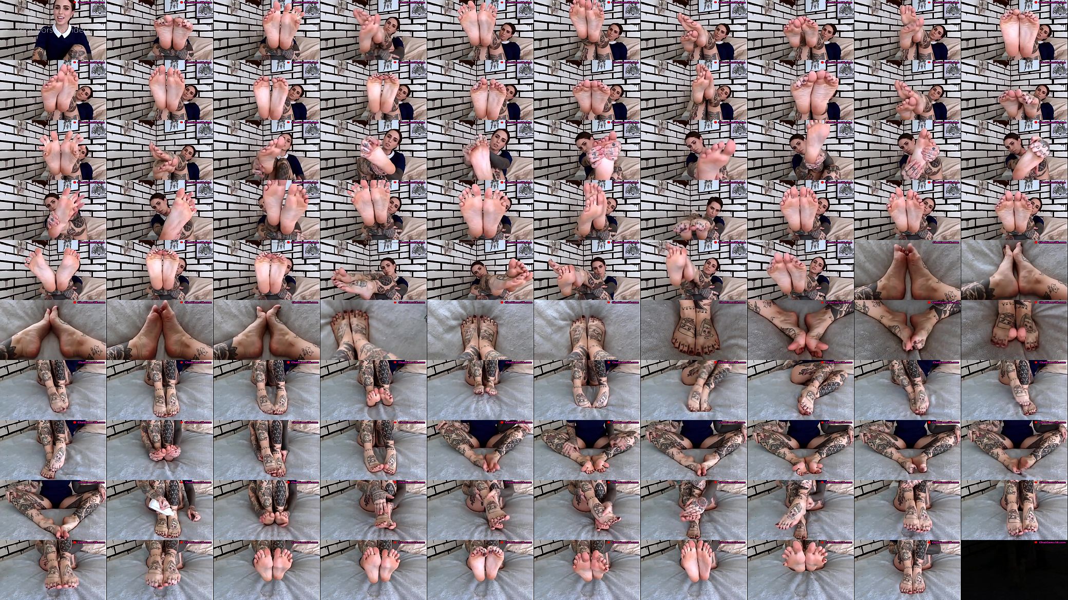 tattooed cam girl feet 预览图