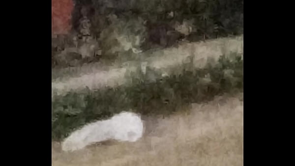 Calentando la noche e chiclayo