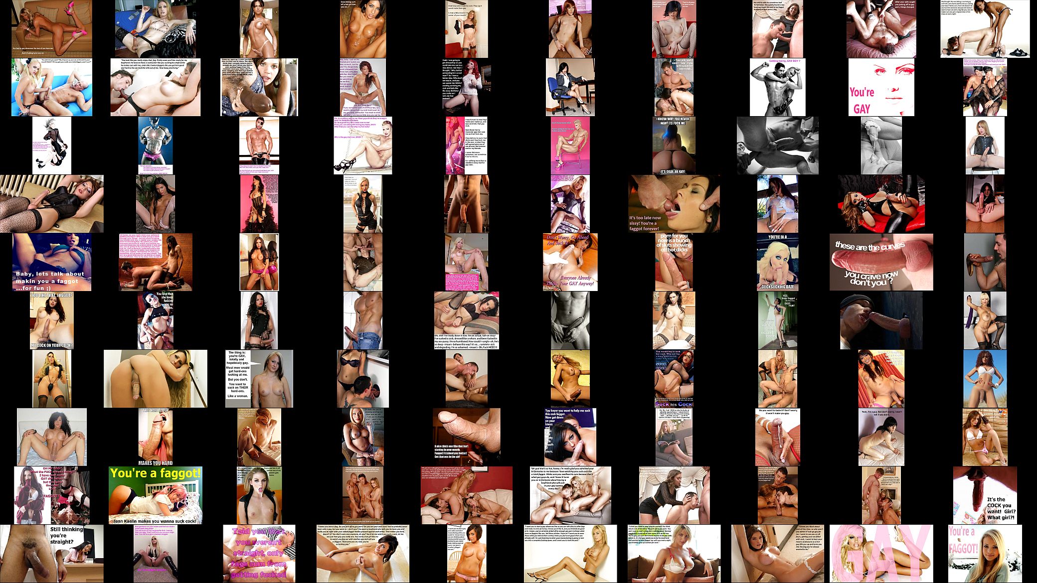 Fag Sexual Reassignment 预览图