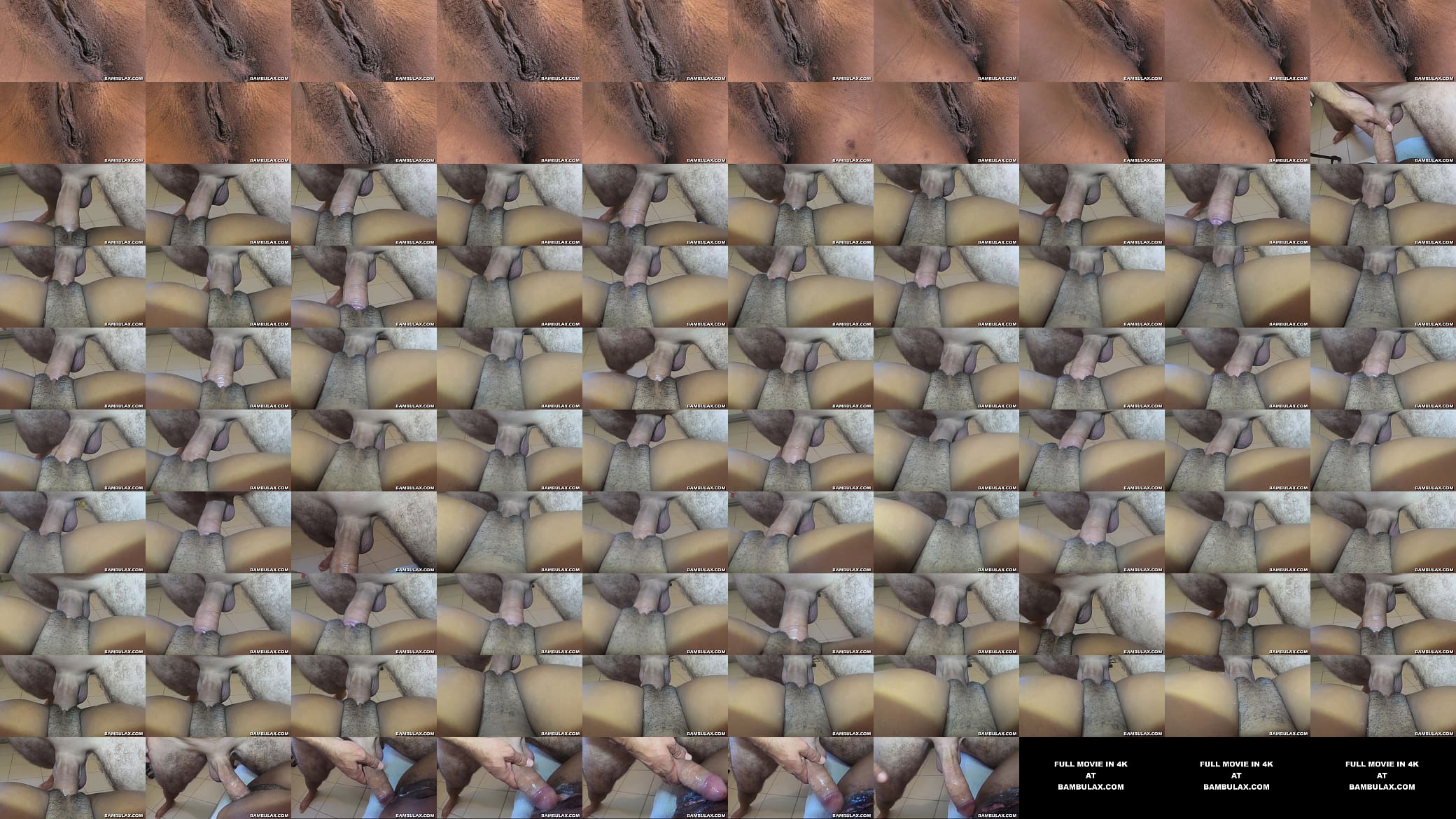 Interracial insemination by BWC 预览图