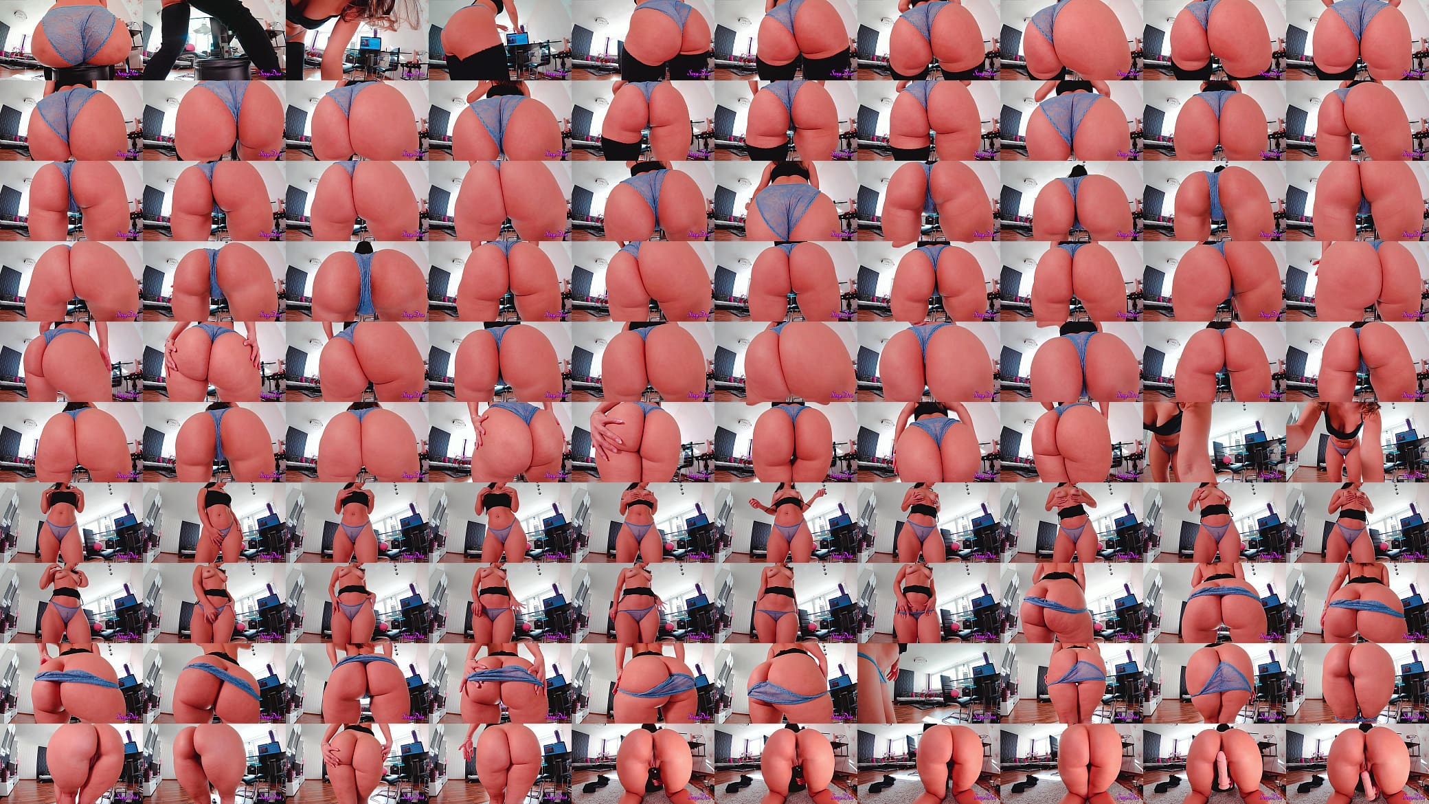 Big Butts Like It Big 预览图