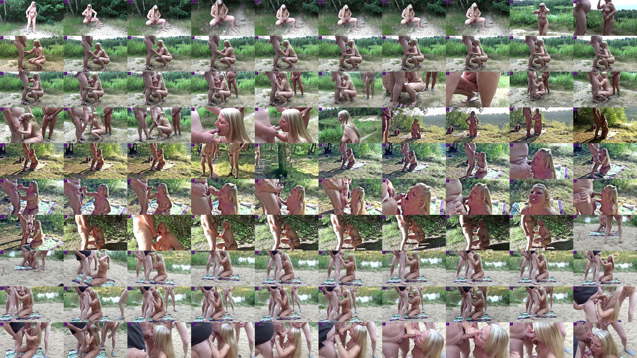 As a sperm and piss toilet for everyone at the bathing lake! Part 1 预览图
