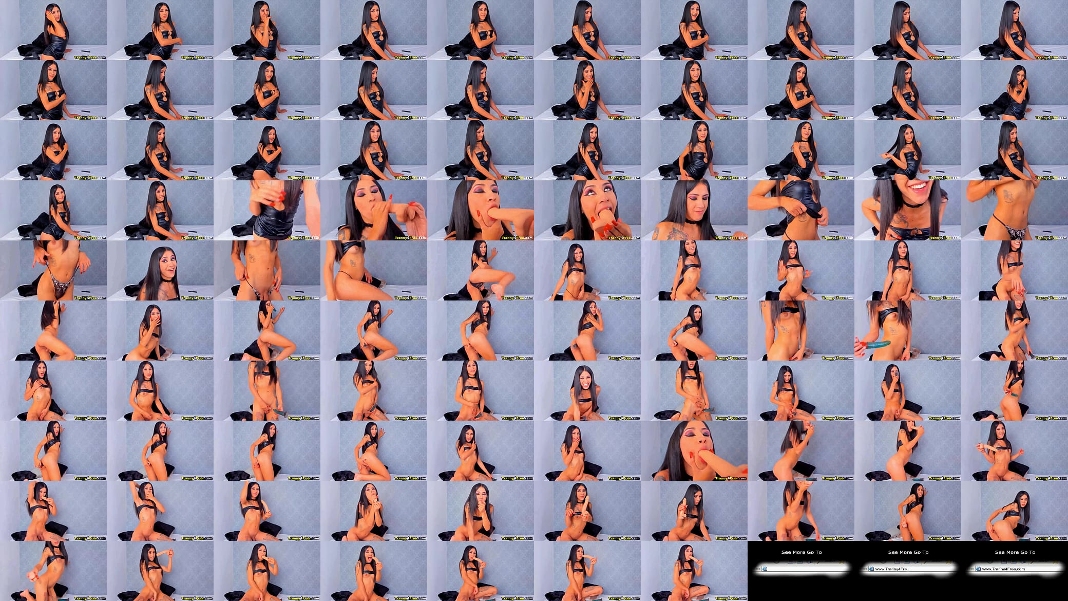 Virtual Sex with Pretty Shemale 预览图