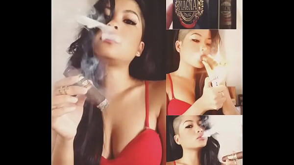 cigar 2 cigar 2)