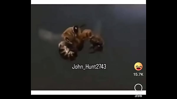 Lmmfao️ - Update #3 (2025-01-09T02:43:43.000Z)