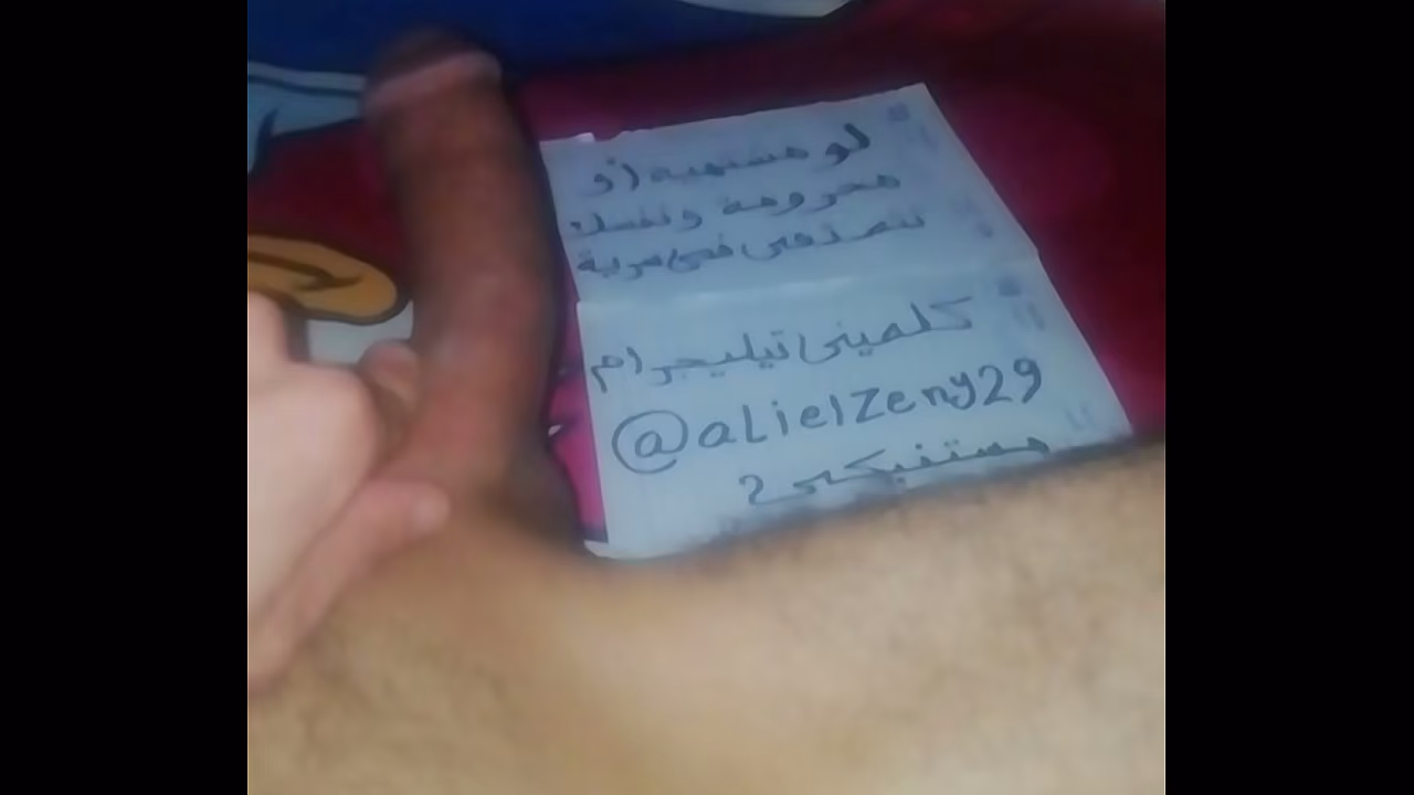 xElZenYx Egy big cock avaliable for every single horny girl or women