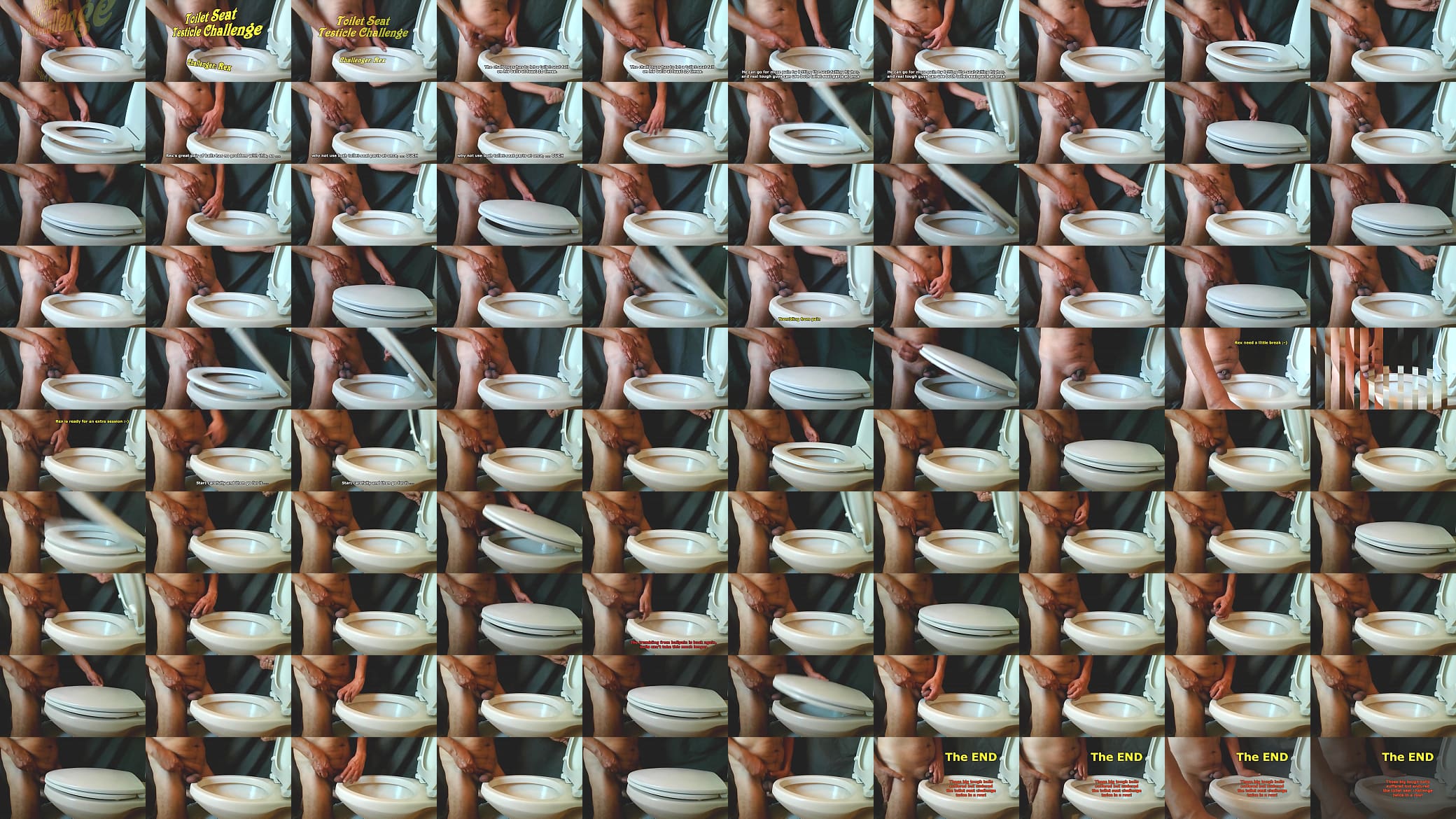 Toilet seat challenge: Challenger Rex&#039;s testicles 预览图