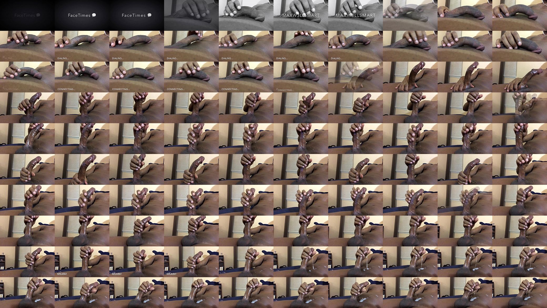 FaceTimes 预览图
