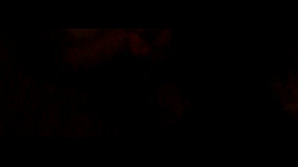 Hot Blowjob From Cute Brunette