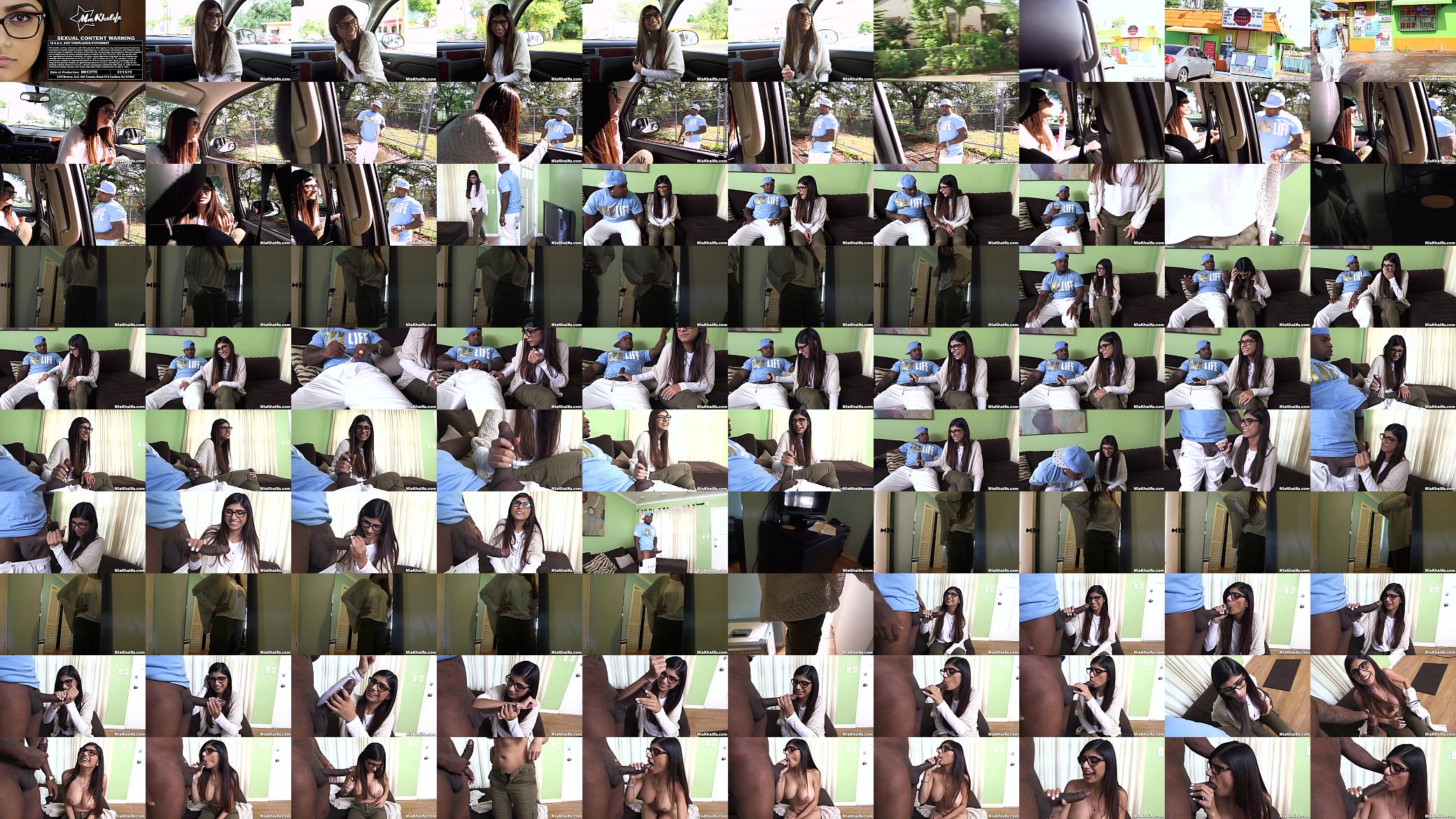 Naughty Mia Khalifa is in search of a big black cock 预览图