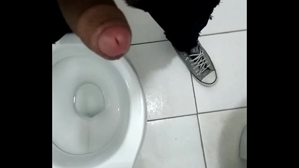 Novinho versátil SSA / Lauro