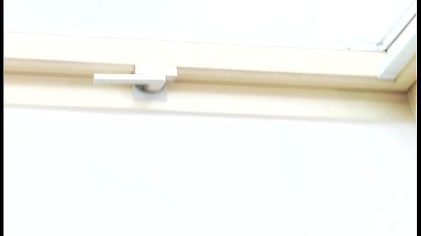 Lesbian joy from legal age teenagers