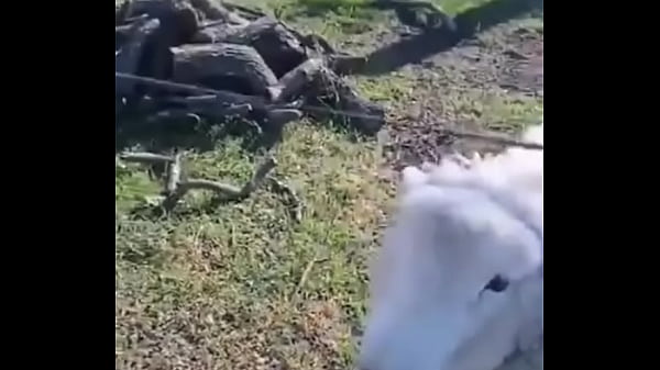 Oscar <3