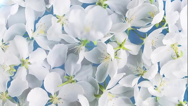 Download Video - Raunchy threesome with Kiara Lord and Geisha Kyd - Lifeselector