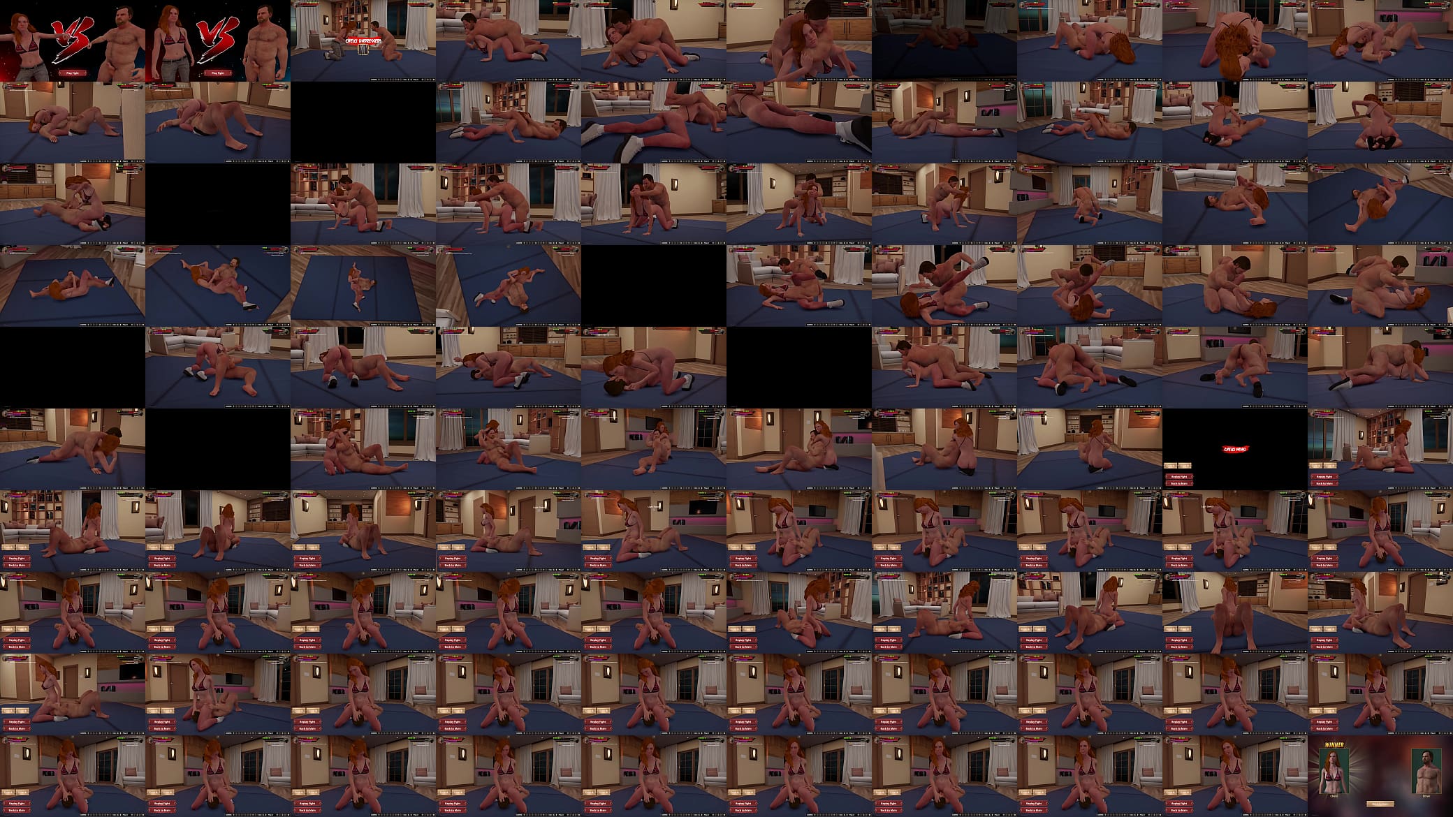 Ethan vs. Chelci II  (Naked Fighter 3D) 预览图