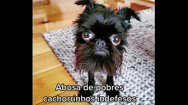 Pai de família fudendo