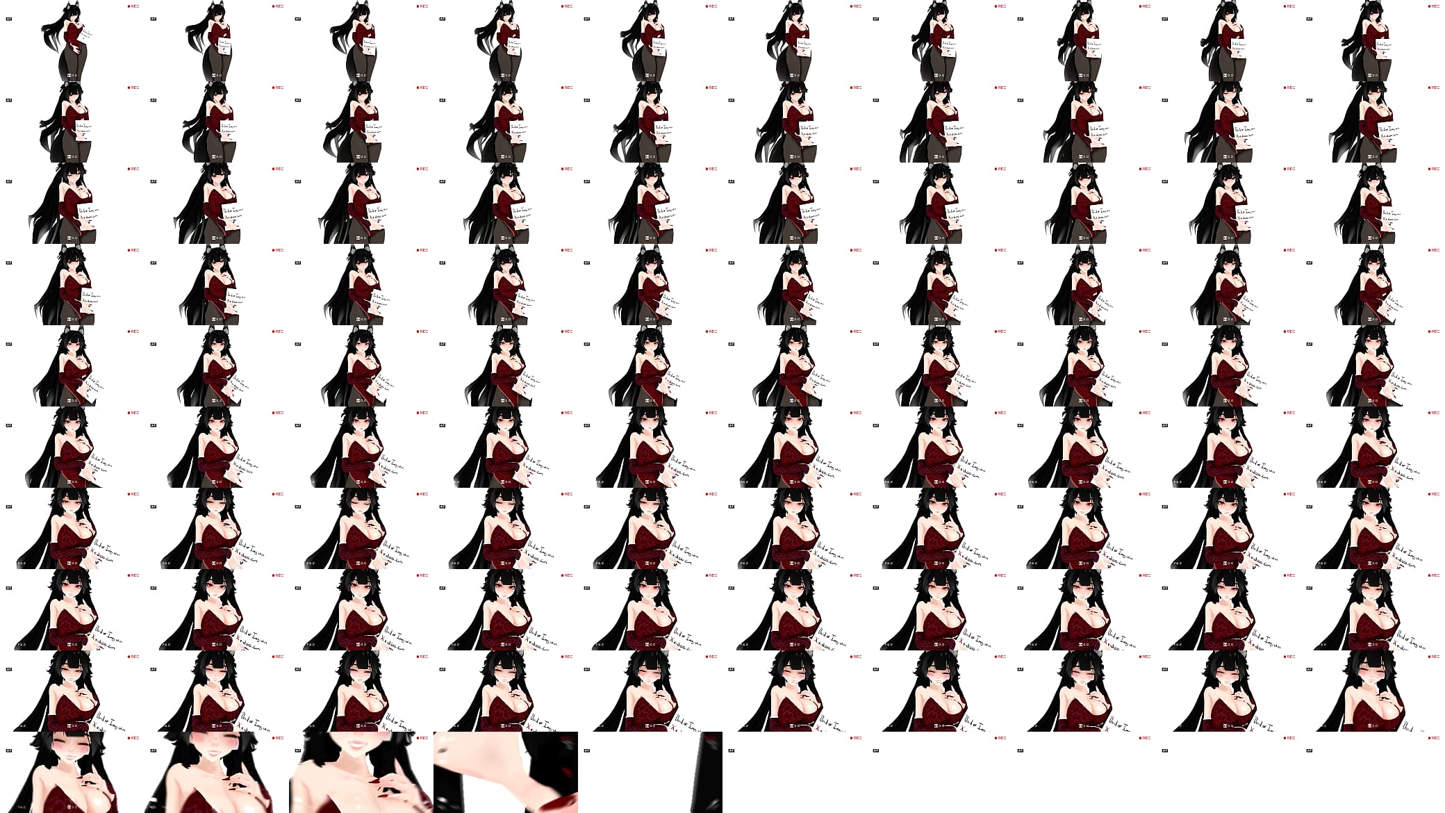 Verification video 预览图