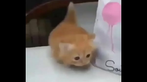 Me masturbo bien cachonda