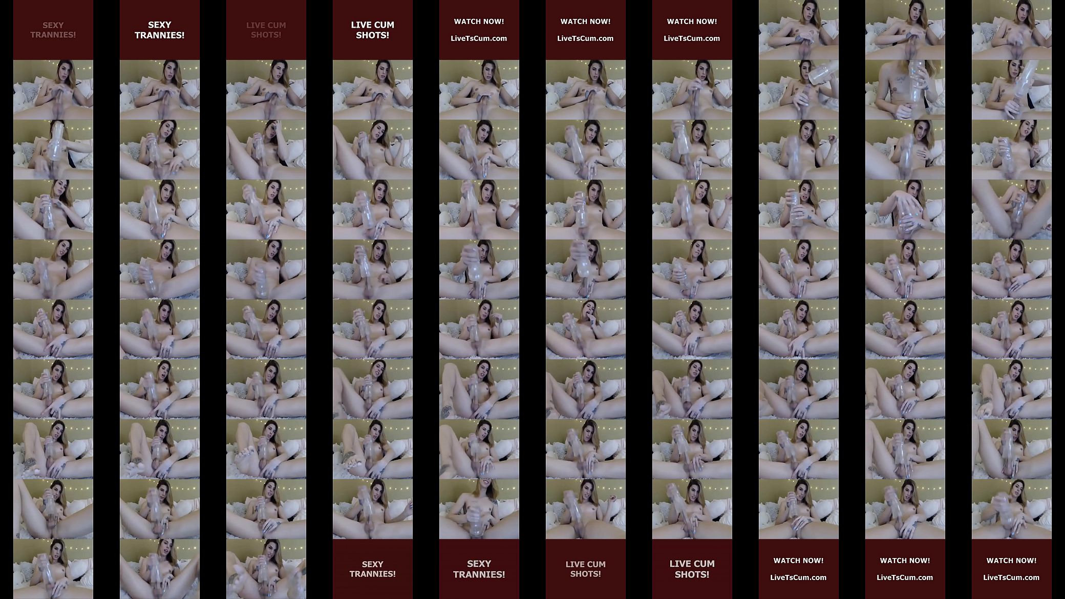 Live Ts Cum 123 预览图